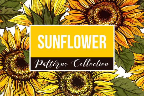 Sunflower Patterns Collection